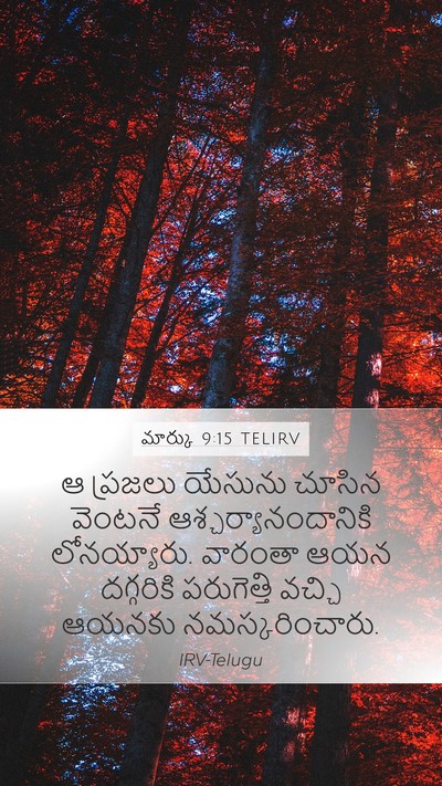 మార్కు 9:15 TELIRV Bible Verse Image
