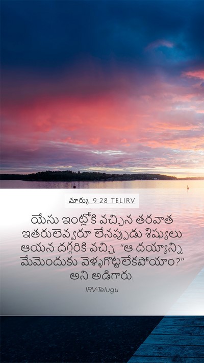 మార్కు 9:28 TELIRV Bible Verse Image