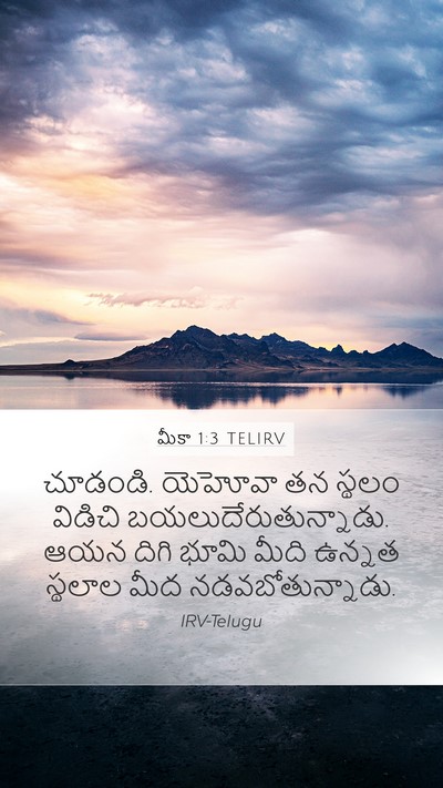 మీకా 1:3 TELIRV Bible Verse Image