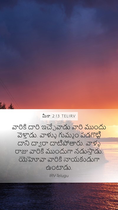 మీకా 2:13 TELIRV Bible Verse Image