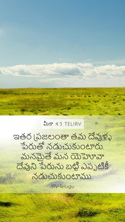 మీకా 4:5 TELIRV Bible Verse Image