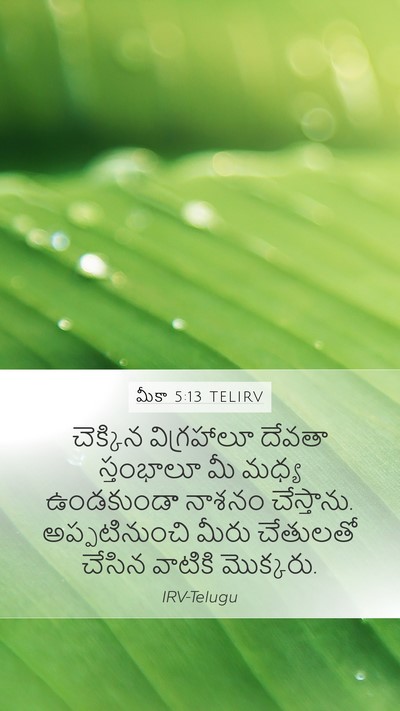 మీకా 5:13 TELIRV Bible Verse Image