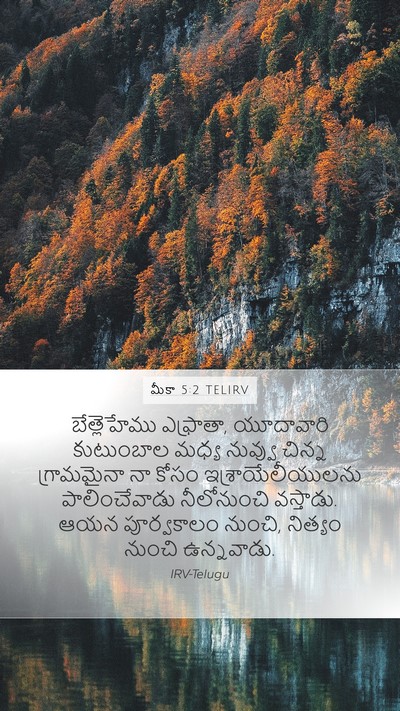 మీకా 5:2 TELIRV Bible Verse Image