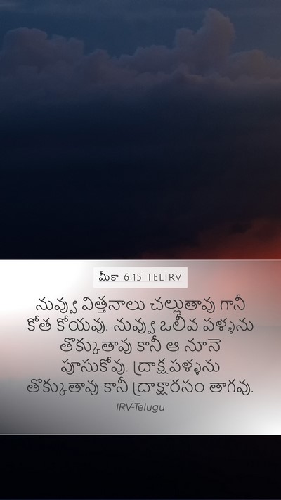 మీకా 6:15 TELIRV Bible Verse Image