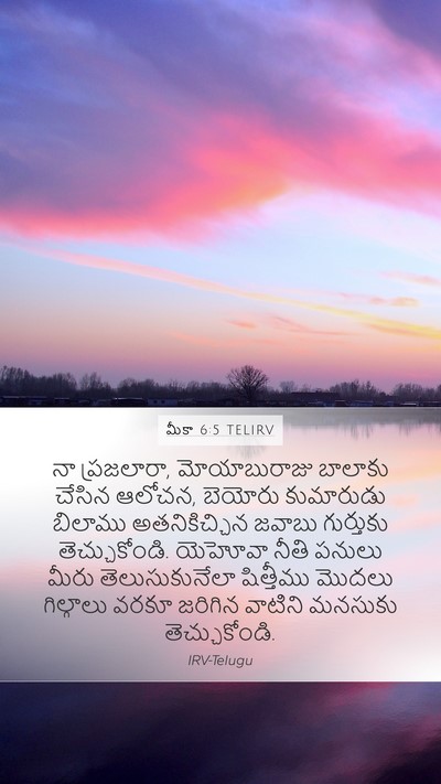 మీకా 6:5 TELIRV Bible Verse Image