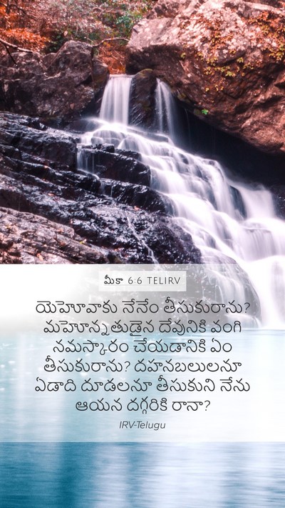మీకా 6:6 TELIRV Bible Verse Image