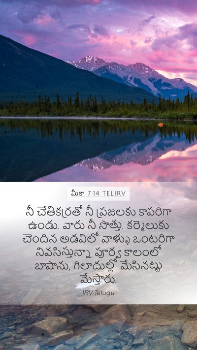 మీకా 7:14 TELIRV Bible Verse Image