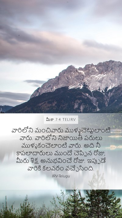 మీకా 7:4 TELIRV Bible Verse Image