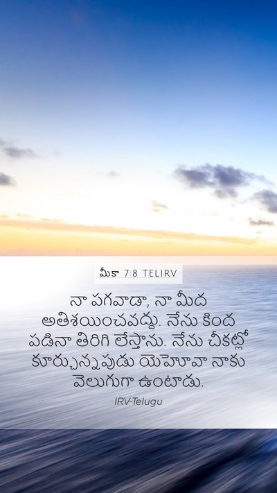 మీకా 7:8 TELIRV Bible Verse Image