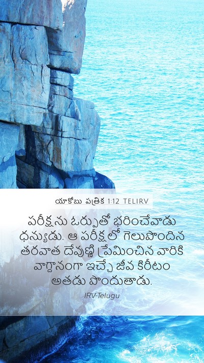 యాకోబు పత్రిక 1:12 TELIRV Bible Verse Image