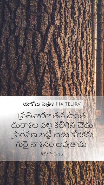 యాకోబు పత్రిక 1:14 TELIRV Bible Verse Image