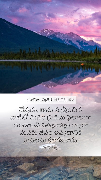 యాకోబు పత్రిక 1:18 TELIRV Bible Verse Image