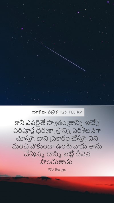 యాకోబు పత్రిక 1:25 TELIRV Bible Verse Image