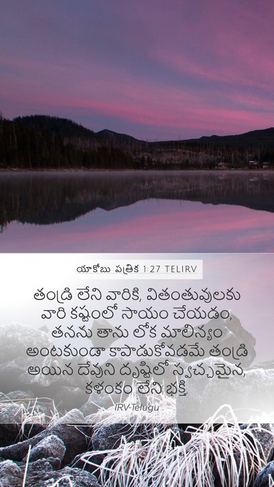 యాకోబు పత్రిక 1:27 TELIRV Bible Verse Image