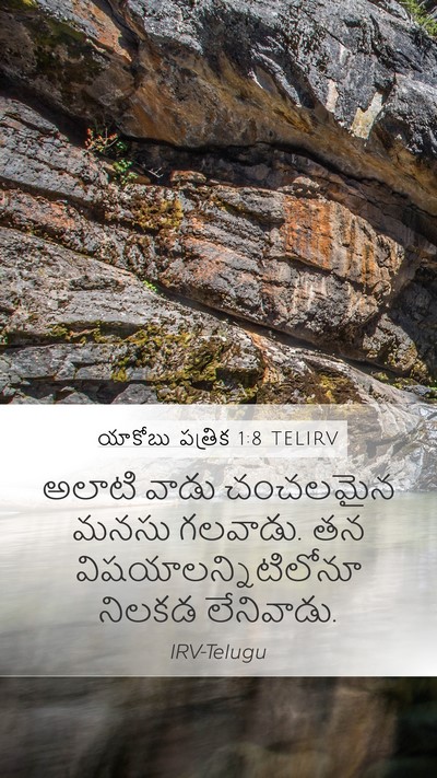 యాకోబు పత్రిక 1:8 TELIRV Bible Verse Image
