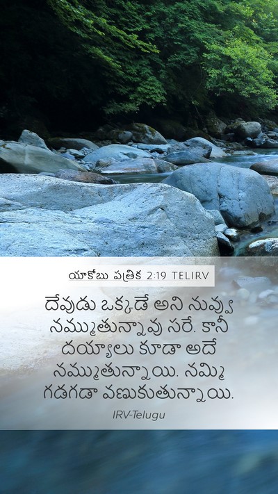 యాకోబు పత్రిక 2:19 TELIRV Bible Verse Image