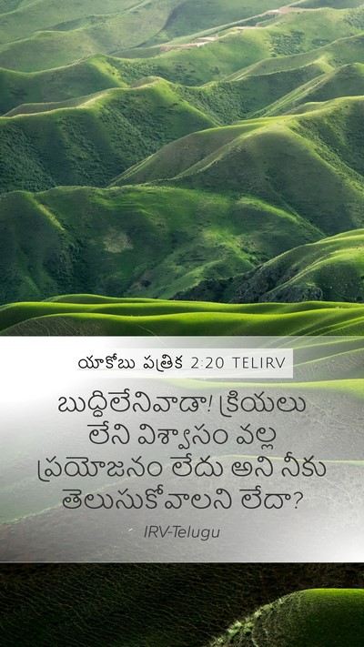యాకోబు పత్రిక 2:20 TELIRV Bible Verse Image