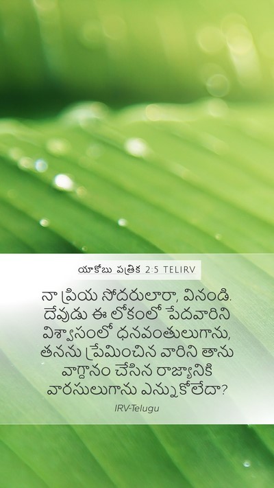 యాకోబు పత్రిక 2:5 TELIRV Bible Verse Image