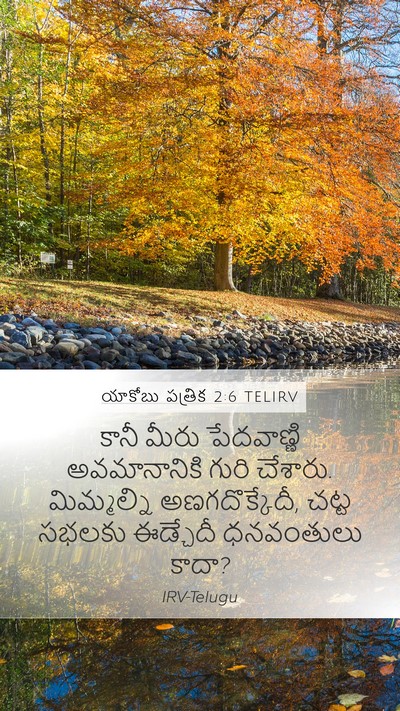 యాకోబు పత్రిక 2:6 TELIRV Bible Verse Image