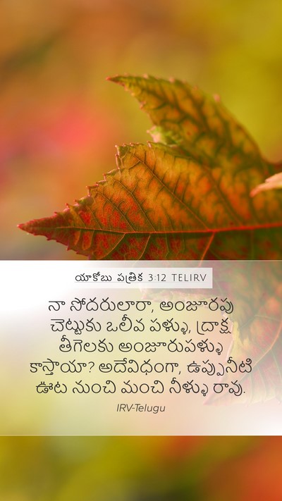 యాకోబు పత్రిక 3:12 TELIRV Bible Verse Image