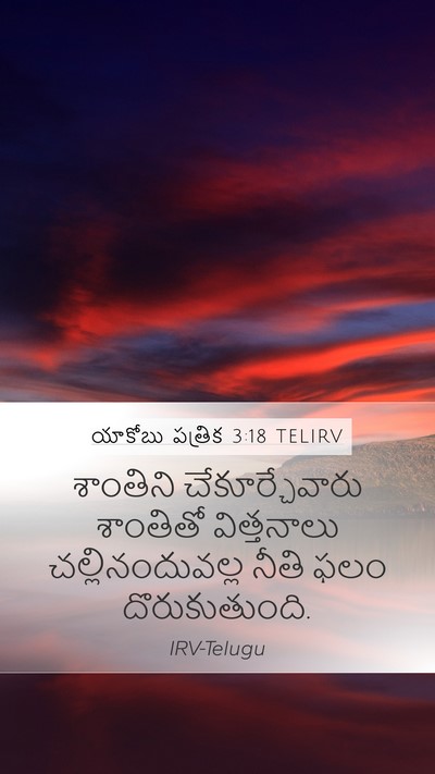 యాకోబు పత్రిక 3:18 TELIRV Bible Verse Image