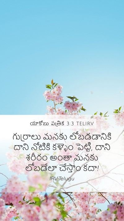 యాకోబు పత్రిక 3:3 TELIRV Bible Verse Image