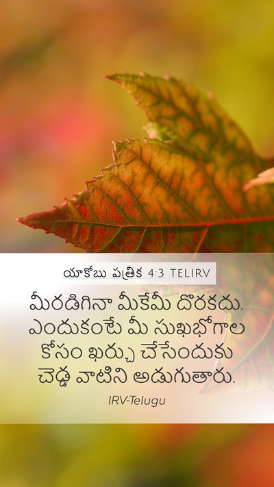 యాకోబు పత్రిక 4:3 TELIRV Bible Verse Image