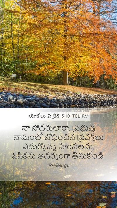 యాకోబు పత్రిక 5:10 TELIRV Bible Verse Image