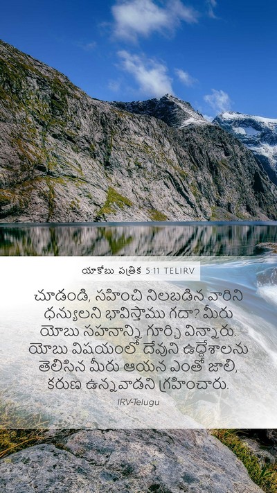 యాకోబు పత్రిక 5:11 TELIRV Bible Verse Image
