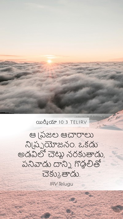 యిర్మీయా 10:3 TELIRV Bible Verse Image
