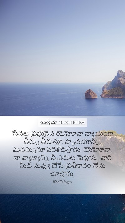 యిర్మీయా 11:20 TELIRV Bible Verse Image