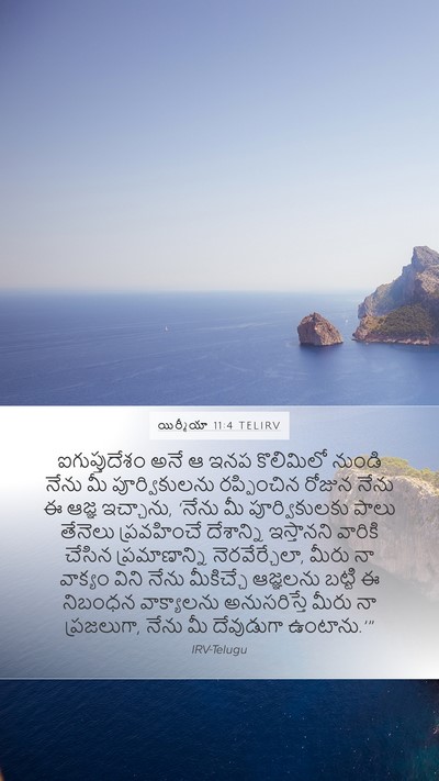 యిర్మీయా 11:4 TELIRV Bible Verse Image