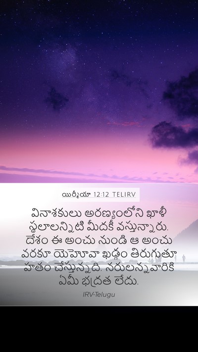 యిర్మీయా 12:12 TELIRV Bible Verse Image