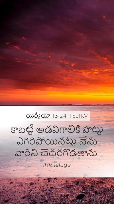 యిర్మీయా 13:24 TELIRV Bible Verse Image