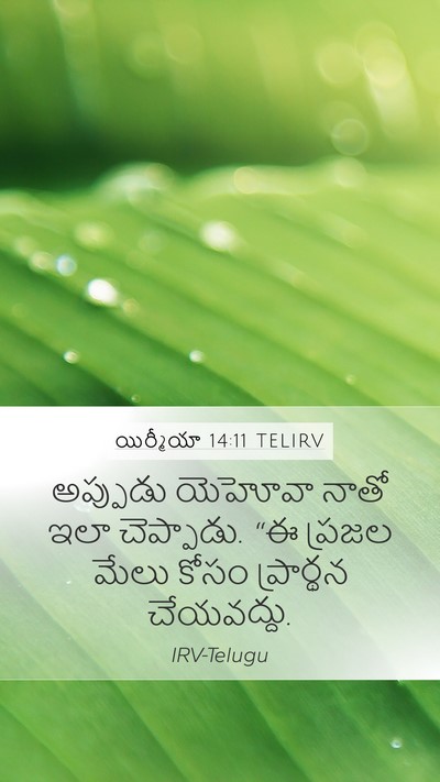 యిర్మీయా 14:11 TELIRV Bible Verse Image