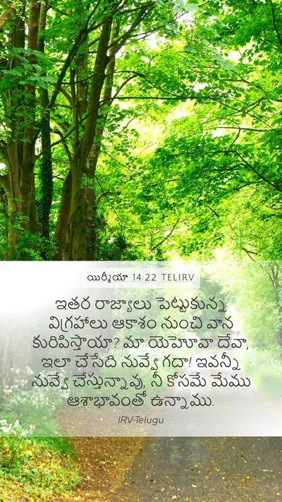 యిర్మీయా 14:22 TELIRV Bible Verse Image
