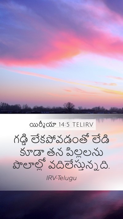 యిర్మీయా 14:5 TELIRV Bible Verse Image