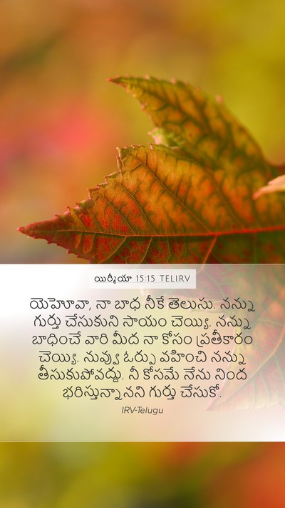 యిర్మీయా 15:15 TELIRV Bible Verse Image