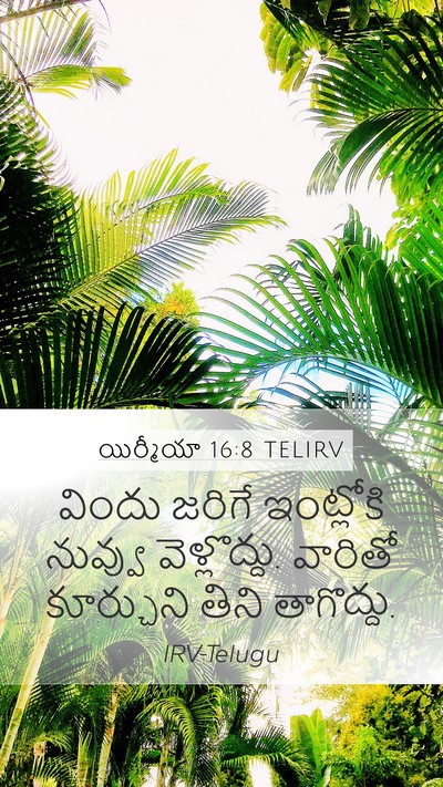 యిర్మీయా 16:8 TELIRV Bible Verse Image