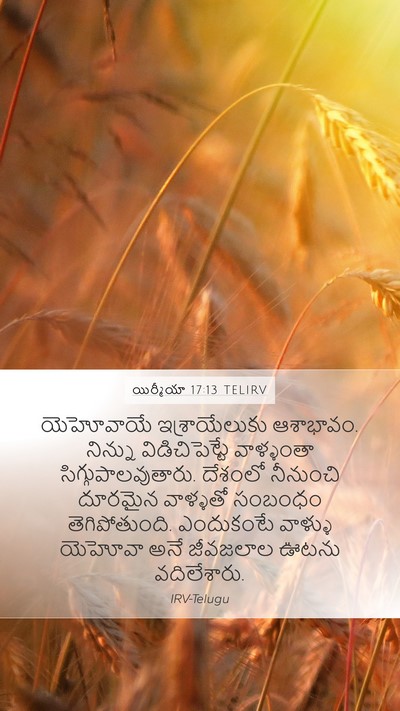 యిర్మీయా 17:13 TELIRV Bible Verse Image