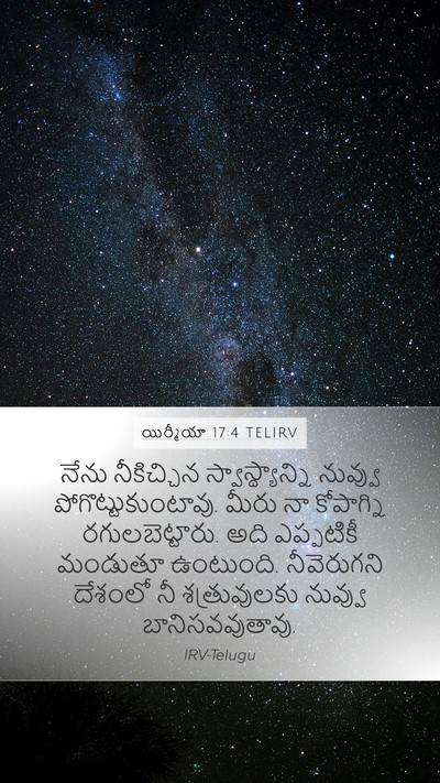 యిర్మీయా 17:4 TELIRV Bible Verse Image