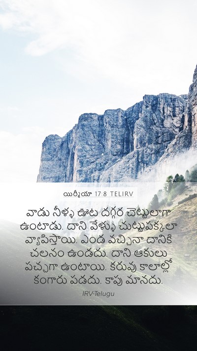 యిర్మీయా 17:8 TELIRV Bible Verse Image