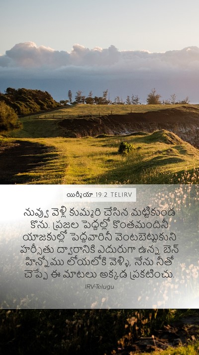 యిర్మీయా 19:2 TELIRV Bible Verse Image