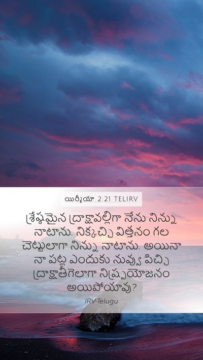 యిర్మీయా 2:21 TELIRV Mobile Phone Wallpaper - శ్రేష్ఠమైన - Mobile Bible Verse Wallpaper