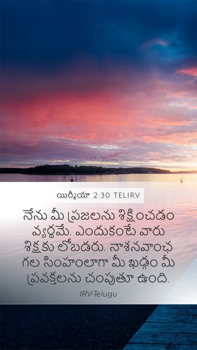 యిర్మీయా 2:30 TELIRV Bible Verse Image