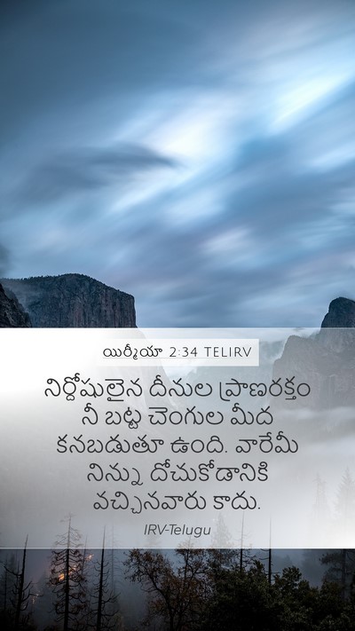 యిర్మీయా 2:34 TELIRV Bible Verse Image