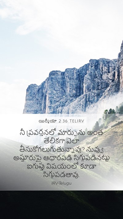 యిర్మీయా 2:36 TELIRV Bible Verse Image