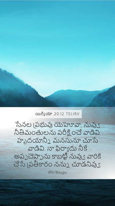 యిర్మీయా 20:12 TELIRV Bible Verse Image