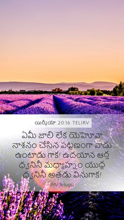 యిర్మీయా 20:16 TELIRV Bible Verse Image