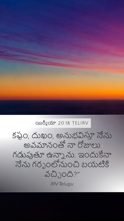 యిర్మీయా 20:18 TELIRV Bible Verse Image